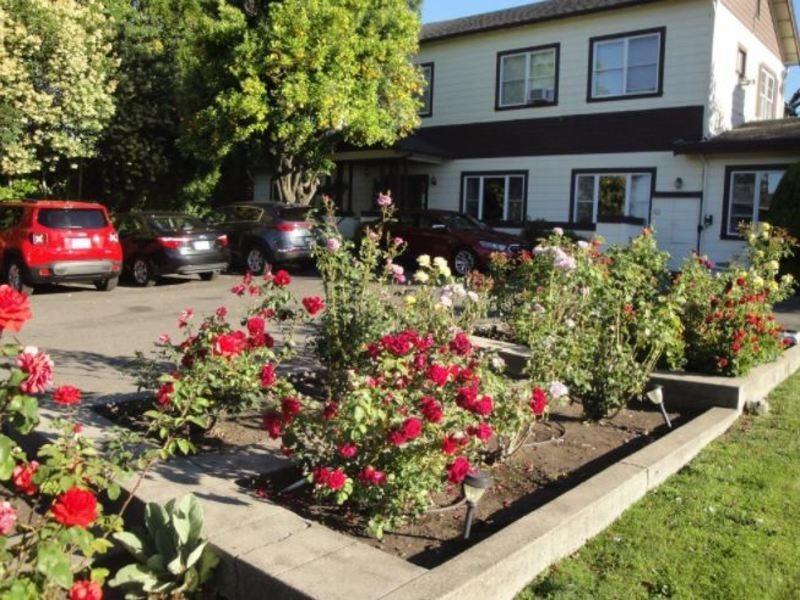 Cinnamon Bear Creekside Inn Sonoma Exterior photo